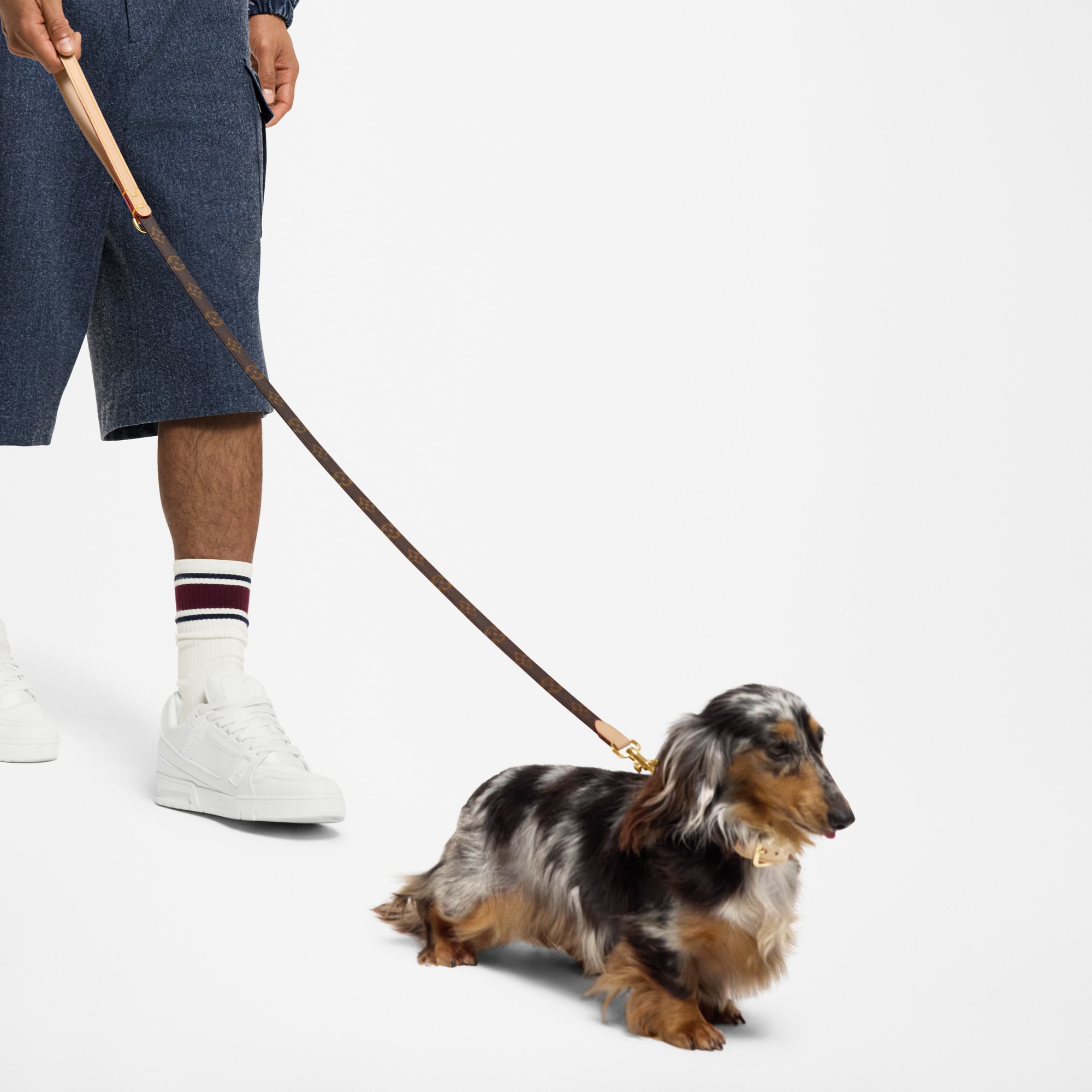 Dog Leash PM - Pets Accessories | LOUIS VUITTON